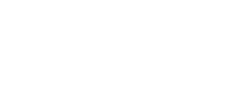 Velour Medical logo